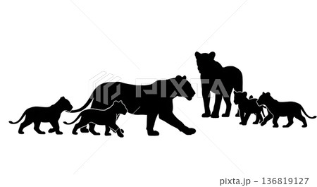 Black Solid Lioness Teaching Cubs to Hunt Silhouettes Set of Six on White Background Black Solid Lioness Teaching Cubs to Hunt Silhouettes Set of Six on White Background 136819127