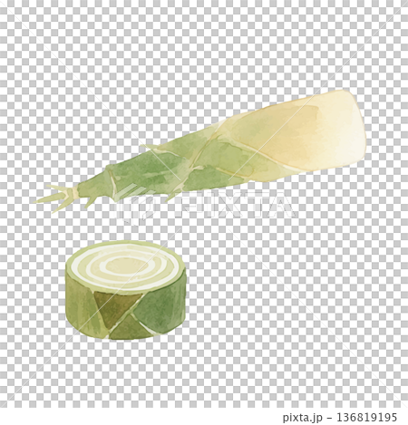 水彩風の筍のイラスト 136819195