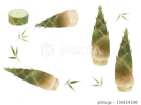 水彩風の筍のイラスト 136819196