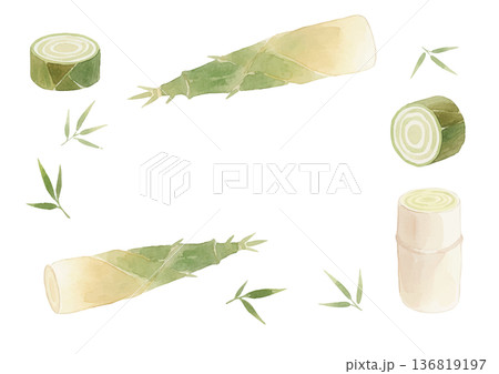 水彩風の筍のイラスト 水彩風の筍のイラスト 136819197