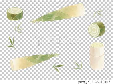 水彩風の筍のイラスト 水彩風の筍のイラスト 136819197