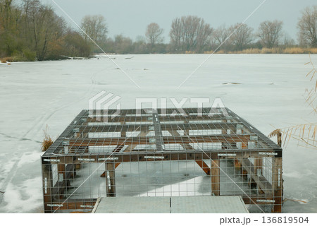 Galvanized wire beaver eurasian Castor fiber metal mesh wood cage for protection european beaver semiaquatic rodents that creates wood dam to avoid overflow and no stream in Hrdiborice frozen pond, a Galvanized wire beaver eurasian Castor fiber metal mesh wood cage for protection european beaver semiaquatic rodents that creates wood dam to avoid overflow and no stream in Hrdiborice frozen pond, a 136819504
