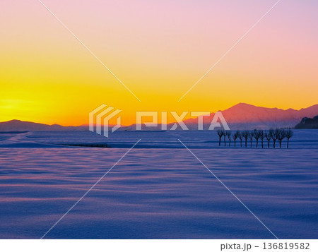 朝焼けの雪原のハサ木・越後三山雪景色夜明け 136819582