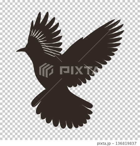 silhouette of brown flying dove on beige background, pigeon vector illustration 136819837