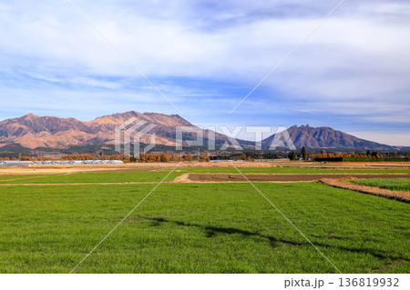 熊本県　南阿蘇の田園風景越しに根子岳と高岳を眺望 136819932