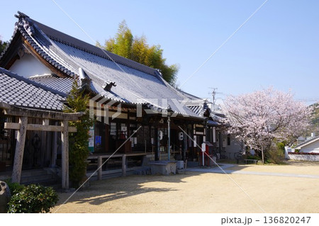 兵庫県淡路市　桜の咲く時期の八幡寺 136820247
