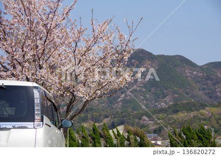 ドライブイメージ 桜 ドライブイメージ 桜 136820272