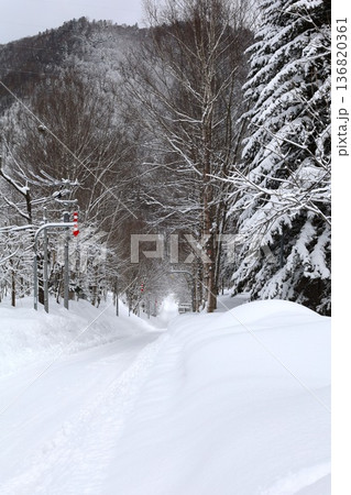 二月の北海道、大雪山山系、旭岳の麓、上川町に広がる雪の森、極寒の北海道で雪景色を楽しむ。雪景色 136820361