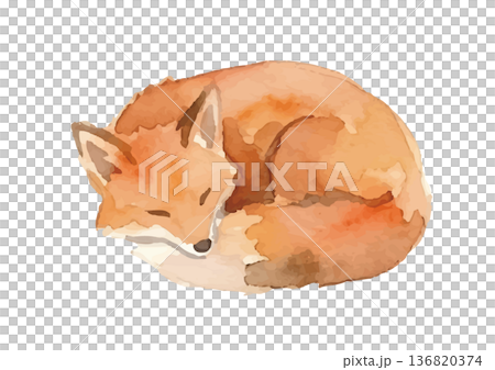 Watercolor fox illustration Watercolor fox illustration 136820374