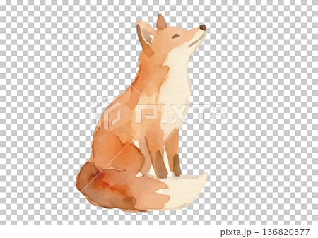 水彩風のキツネイラスト 水彩風のキツネイラスト 136820377
