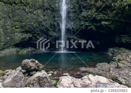 Caldeirao Verde Waterfall pours as a ribbon down basalt cliffs into green pool framed by ferns Caldeirao Verde Waterfall pours as a ribbon down basalt cliffs into green pool framed by ferns 136820862