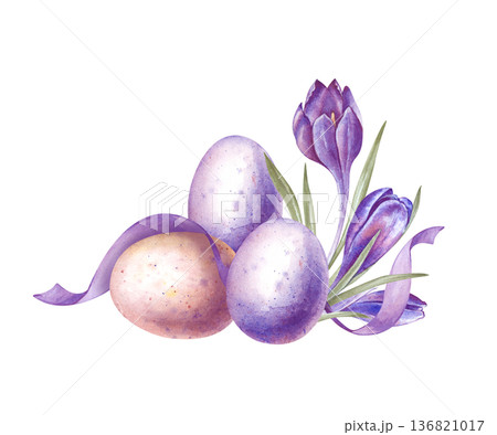 Easter composition with colored eggs, crocuses and ribbon. Spring watercolor illustration on an isolated background. Realistic drawing with purple crocus flowers and eggs for decorating spring and 136821017