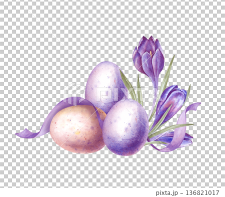 Easter composition with colored eggs, crocuses and ribbon. Spring watercolor illustration on an isolated background. Realistic drawing with purple crocus flowers and eggs for decorating spring and 136821017