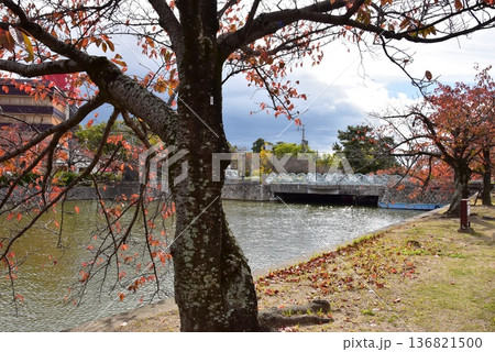 三重県 桑名市の吉之丸・舟入橋と内堀と紅葉 三重県 桑名市の吉之丸・舟入橋と内堀と紅葉 136821500