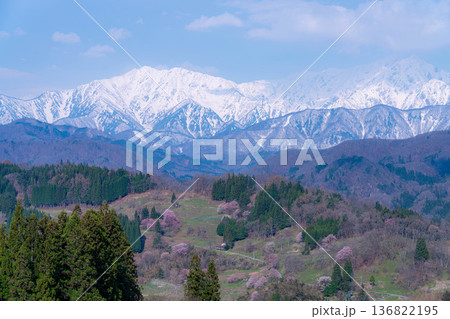 【里山の春】小川村・二反田の桜【長野県】 【里山の春】小川村・二反田の桜【長野県】 136822195