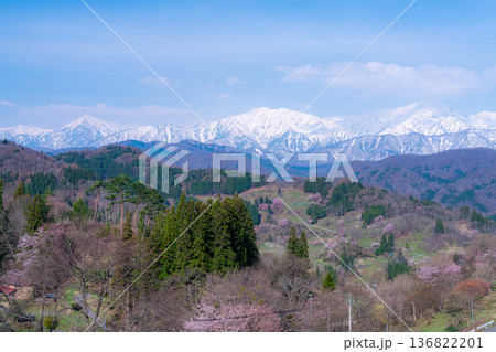 【里山の春】小川村・二反田の桜【長野県】 【里山の春】小川村・二反田の桜【長野県】 136822201
