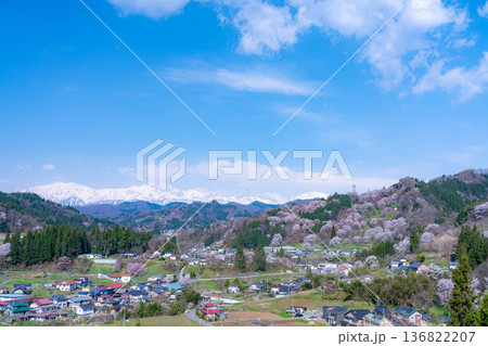 【里山の春】小川村・二反田の桜【長野県】 【里山の春】小川村・二反田の桜【長野県】 136822207