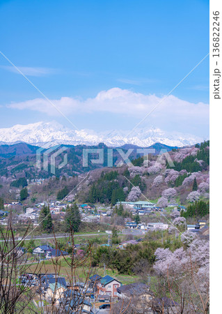 【里山の春】小川村・二反田の桜【長野県】 136822246
