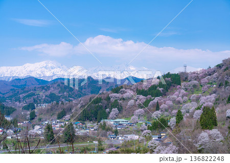 【里山の春】小川村・二反田の桜【長野県】 136822248