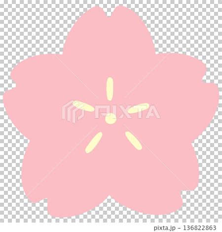 Simple cherry blossom illustration, hand drawn sakura, spring icon 136822863