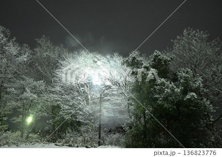 夜の新潟県立スポーツ公園の雪景色(新潟県新潟市) 夜の新潟県立スポーツ公園の雪景色(新潟県新潟市) 136823776