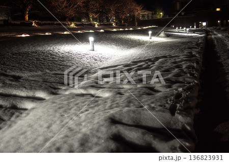 雪が降り積もりより美しさを増す富山県富岩運河環水公園の夜景 136823931
