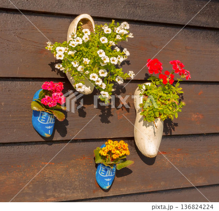 Colorful Flowers In Wooden Clogs On Dark Wall 136824224