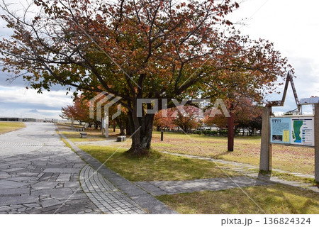 桑名市 三之丸公園の秋景と色治水事業案内板 桑名市 三之丸公園の秋景と色治水事業案内板 136824324