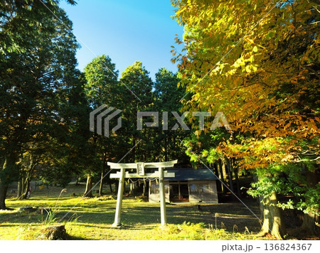 秋の奈良県曽爾村　紅葉に囲まれた屏風岩公苑の早高神社 136824367