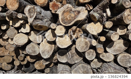 Rustic wooden log background for nature and design projects. Wooden background Rustic wooden log background for nature and design projects. Wooden background 136824394
