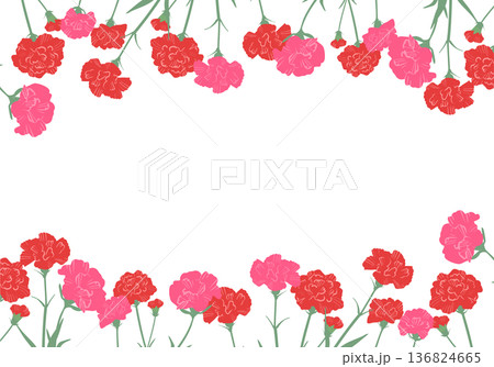 カーネーション花フレーム素材(ベクター) カーネーション花フレーム素材(ベクター) 136824665
