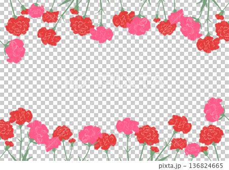 カーネーション花フレーム素材(ベクター) カーネーション花フレーム素材(ベクター) 136824665