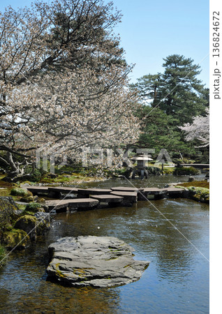 金沢 兼六園の春 金沢 兼六園の春 136824672