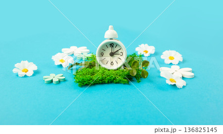Daylight saving Time, Spring forward, Summer back concept. White Alarm Clock and Spring Daisy Flowers on Blue Background Daylight saving Time, Spring forward, Summer back concept. White Alarm Clock and Spring Daisy Flowers on Blue Background 136825145