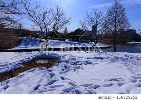 富山市の富岩運河環水公園の天門橋と園内の積雪の風景 136825252