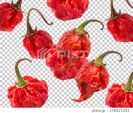 Wrinkled red Carolina Reaper chili peppers isolated on white background, close-up of extreme heat food concept, natural style 136825281