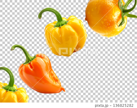 Fresh yellow and orange peppers with a dewy yellow tomato, isolated on white background, concept of healthy organic food Fresh yellow and orange peppers with a dewy yellow tomato, isolated on white background, concept of healthy organic food 136825282