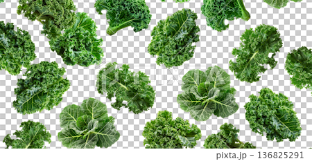 Fresh curly kale leaves arranged in a scattered layout, isolated on white background, concept of healthy eating. 136825291
