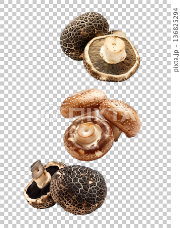 Variety of edible mushrooms with intricate textures and gills, isolated on white background, concept of natural food Variety of edible mushrooms with intricate textures and gills, isolated on white background, concept of natural food 136825294