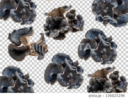 Variety of edible mushrooms with intricate textures and gills, isolated on white background, concept of natural food Variety of edible mushrooms with intricate textures and gills, isolated on white background, concept of natural food 136825296