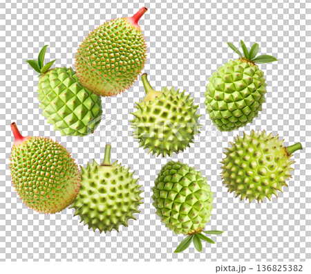 Multiple green durian fruits with sharp spikes arranged in a seamless pattern isolated on white background 136825382