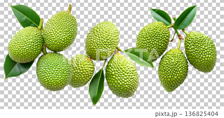 Closeup of exotic green tropical fruits Marang Fruit with bumpy skin and green leaves, isolated on white background 136825404