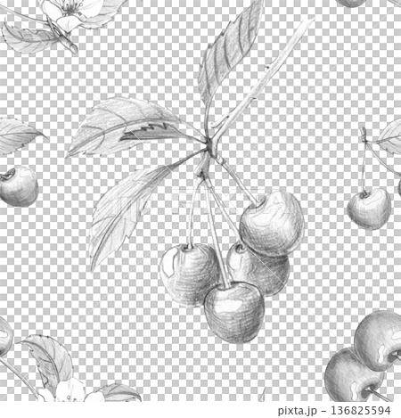 Seamless pattern with detailed pencil art of cherry branches with fruit and leaves on white background, for textile design, vintage packaging, and botanical projects Seamless pattern with detailed pencil art of cherry branches with fruit and leaves on white background, for textile design, vintage packaging, and botanical projects 136825594
