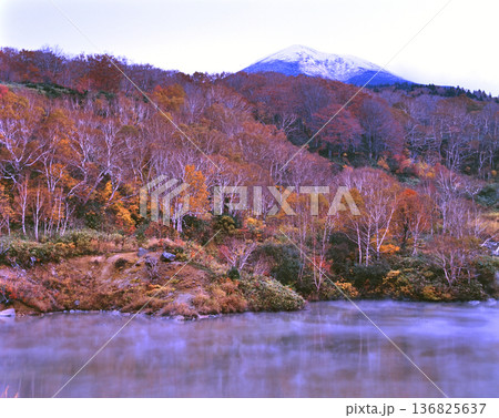 雪を抱く八甲田山と紅葉の地獄沼 136825637