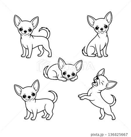 Charming chihuahua illustrations in playful poses for coloring and creative fun Charming chihuahua illustrations in playful poses for coloring and creative fun 136825667