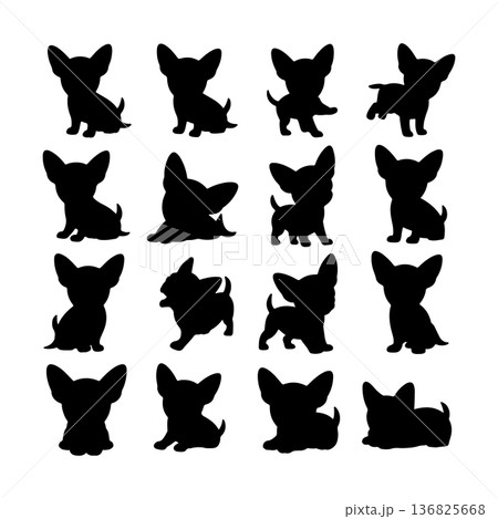 Multiple silhouettes of playful chihuahuas in various poses on a white background Multiple silhouettes of playful chihuahuas in various poses on a white background 136825668