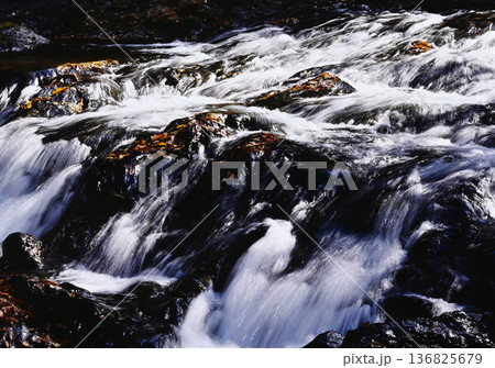 落ち葉がたまる岩場の急流を流れ落ちる川の水 136825679