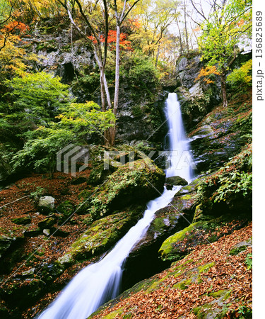 紅葉に囲まれた滝 紅葉に囲まれた滝 136825689