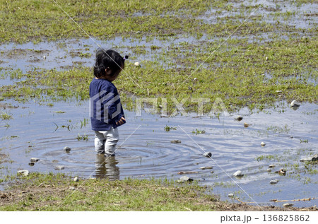 水たまりの子供 水たまりの子供 136825862