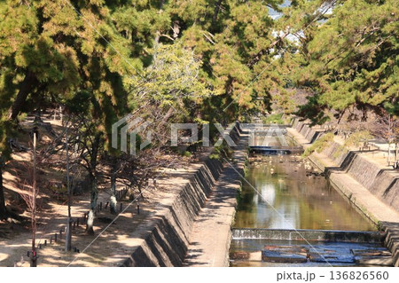 木々に囲まれた晩秋の夙川(兵庫県西宮市)(横長) 136826560